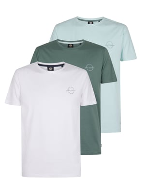 Petrol Industries - 3-pack jersey T-shirts Salsa Heren - Divers