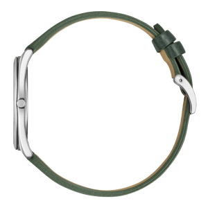 Citizen Suratto Heren Horloge Groen AR3120-32X