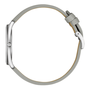 Citizen Suratto Heren Horloge Grijs AR3120-41X