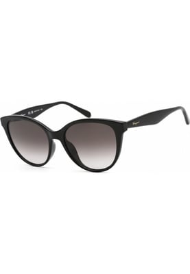 Salvatore Ferragamo SF1073S 54 001 Fashion Sunglasses