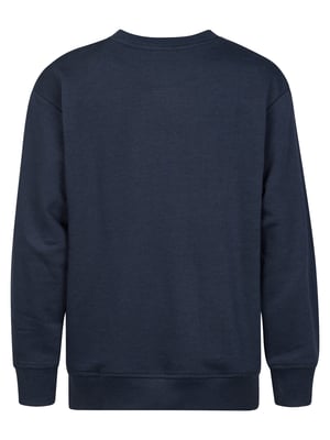 Petrol Industries - Jongens Sweater met ronde hals Coyote - Blauw