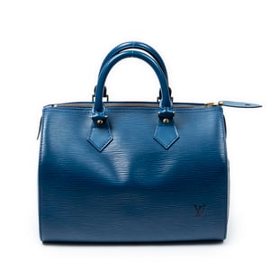 Speedy 25 Handbag