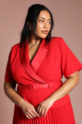 Plus 2 In 1 Wrap Dress With Pleated Skirt
