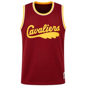 Mitchell & Ness NBA Cleveland Cavaliers Mesh Mens Red Vest