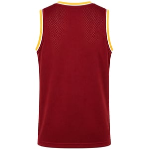Mitchell & Ness NBA Cleveland Cavaliers Mesh Mens Red Vest