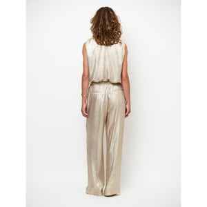 Dante 6 Ido metallic effect pants pantalons 261342
