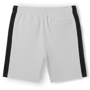 Men's Lacoste Fleece Colour Block Shorts in Grey