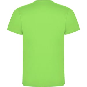 Roly Heren Dogo Premium T-Shirt (Oase Groen)