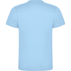 Roly Mens Dogo Premium T-shirt (Himmelblått)