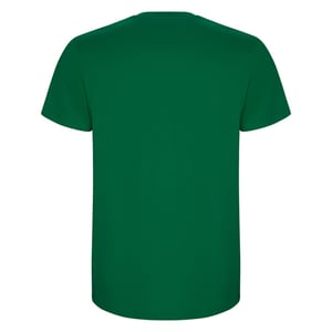 Roly Heren Stafford T-Shirt (Kelly Groen)