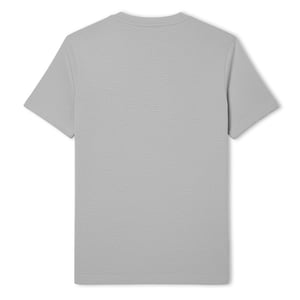 Men's Lacoste Fit T Shirt in Grey