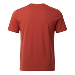 Men's Lacoste T Shirt in Red