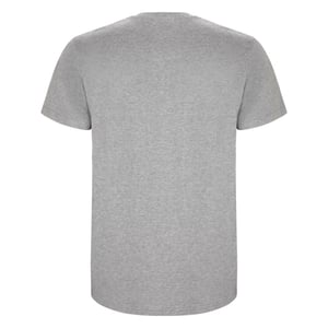 Roly Heren Stafford T-Shirt (Heide Grijs)
