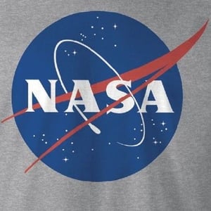 NASA T-shirt med logotyp för män (Grått)