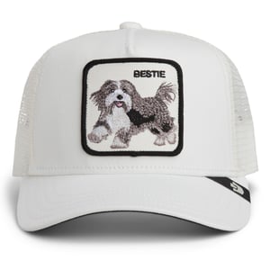 Goorin Bros. Pet