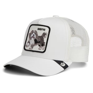 Goorin Bros. Pet