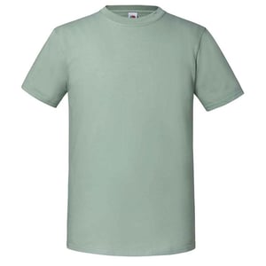 Fruit of the Loom Heren Iconic 195 Premium Ringspun Katoen T-Shirt (Salie)