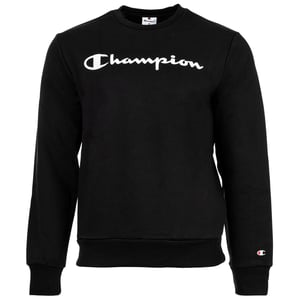 Champion Sweater