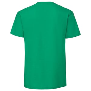 Fruit of the Loom Unisex volwassen iconisch 195 T-shirt (Kelly Groen)