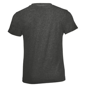 SOLS Kinderen/Kinderen Heather Normaal T-Shirt (Houtskoolmelange)