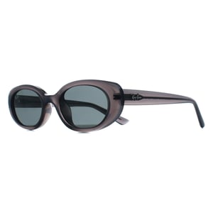 Ray-Ban Oval Womens Transparent Grey Dark Grey RB4441D