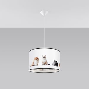 Bright Home Hanglamp carlo modern