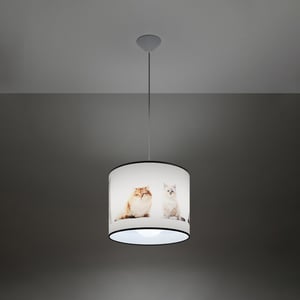 Bright Home Hanglamp carlo modern