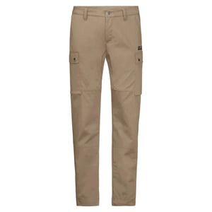 Jack Wolfskin Heren Arctic Road Cargo Broek (Beige)