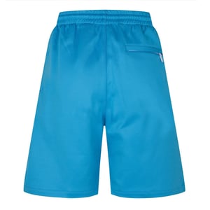 Men's Off White Off Skte Shorts in Cyan Blue