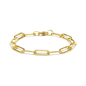 Luxenter Armband met 18-karaats geelgoud afwerking - Siazar