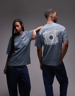 Dickies oatfield graphic back print t-shirt in mid blue