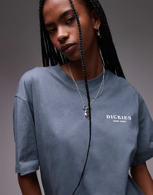 Dickies oatfield graphic back print t-shirt in mid blue