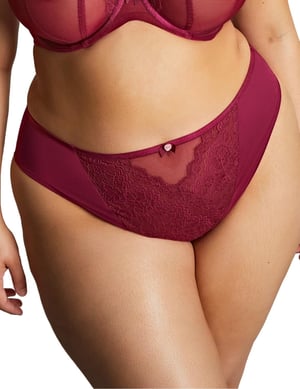 11212 Sculptresse by Panache Natalia High Leg Brief