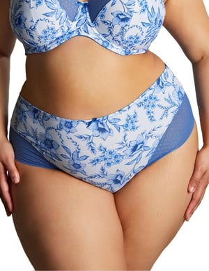 10682 Sculptresse by Panache Bliss Deep Brief