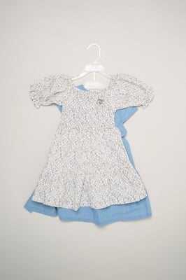 2-Pack Floral Print and Chambray Dresses