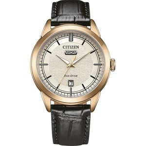 Citizen  Heren Horloge Zwart AW0153-04AC