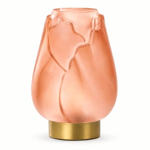 Casa di Elturo Led tafellamp tulipa glas – goudkleurige voet xl Ø18,5 x 27 cm (werkt