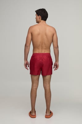Side Stripe Panelled Applique Short Length Swim Short