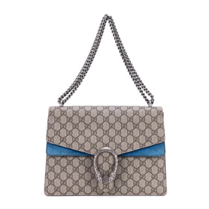 Medium Dionysus Chain Crossbody Medium Shoulder Bag