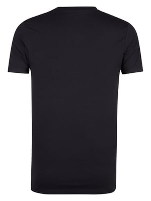 Petrol Industries - Heren 2-Pack Basic T-shirt V-Hals Legacy - Blauw