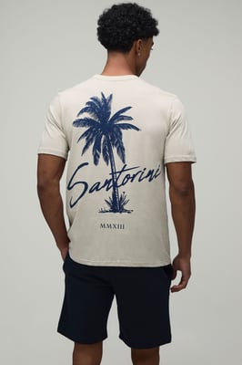 Regular Fit Palm Print T-Shirt & Short Set