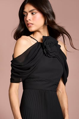 Coast Muse Corsage Halterneck Pleated Maxi Dress
