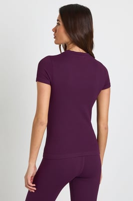 Contour Ribbed Seamless Short Sleeve Active Top
