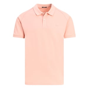 Denham Polo