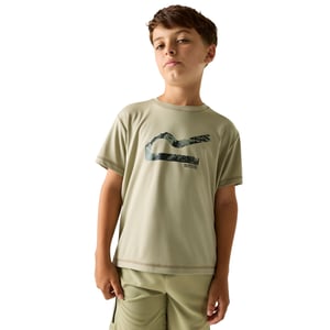 Regatta Childrens/Kids Alvarado Back Print T-Shirt (Abbeystone)