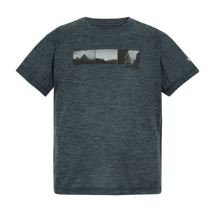 Regatta Childrens/Kids Alvarado Back Print T-Shirt (Dark Storm Marl)