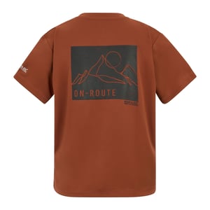 Regatta Childrens/Kids Alvarado Back Print T-Shirt (Brick)