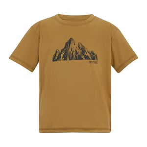 Regatta Childrens/Kids Alvarado Back Print T-Shirt (Wood Brown)