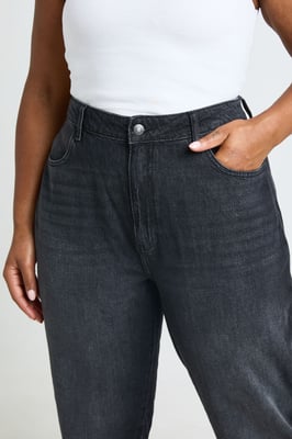 Plus Basics High Waist Mom Jean