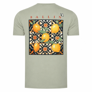 Ballin Est. 2013 T-shirt SS Orange Baktryck Grön